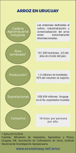 Infografía - Arroz en Uruguay - Producción, consumo y exportaciones.