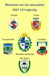 Bovinos en los escudos del Uruguay