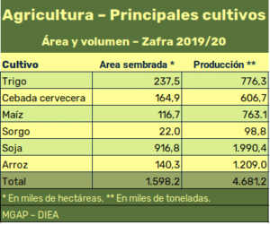 Agricultura - Principales cultivos